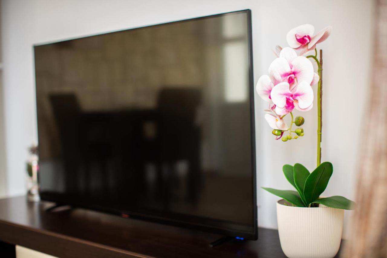 Apartments Jelena Ulcinj Ngoại thất bức ảnh